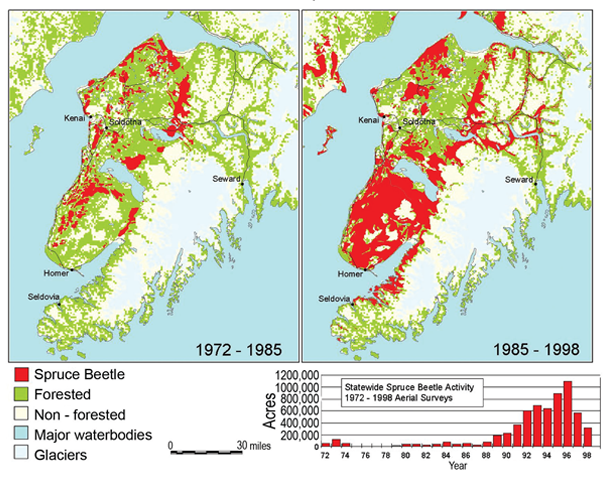 Alaska: Spruce Beetle Infestation Kenai Peninsula, 1972 to 1998