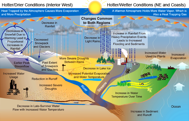 Projected Changes in the Water Cycle: The water cycle exhibits many changes as the Earth warms. Wet and dry areas respond differently.