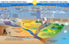  Projected Changes in the Water Cycle