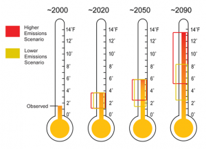 Observed and Projected Temperature Rise