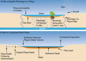 Great Plains challenged by climate variability - AgriLife Today