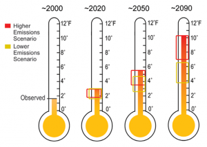 Observed and Projected Temperature Rise