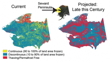 Changing Permafrost Distribution Moderate Warning Scenario