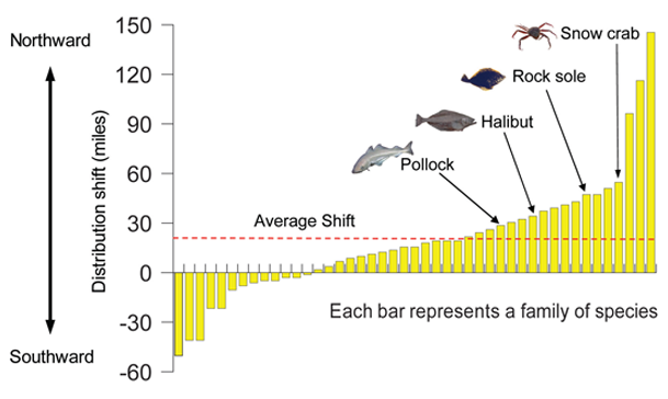 Marine Species Shifting Northward 1982 to 2007