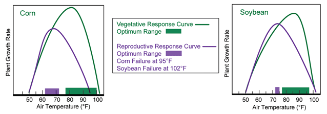 Corn and Soybean Temperature Response
